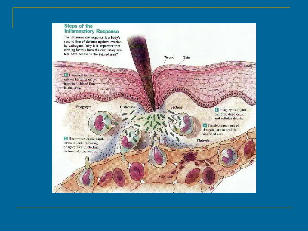 slide13