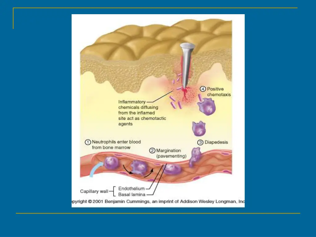 slide9