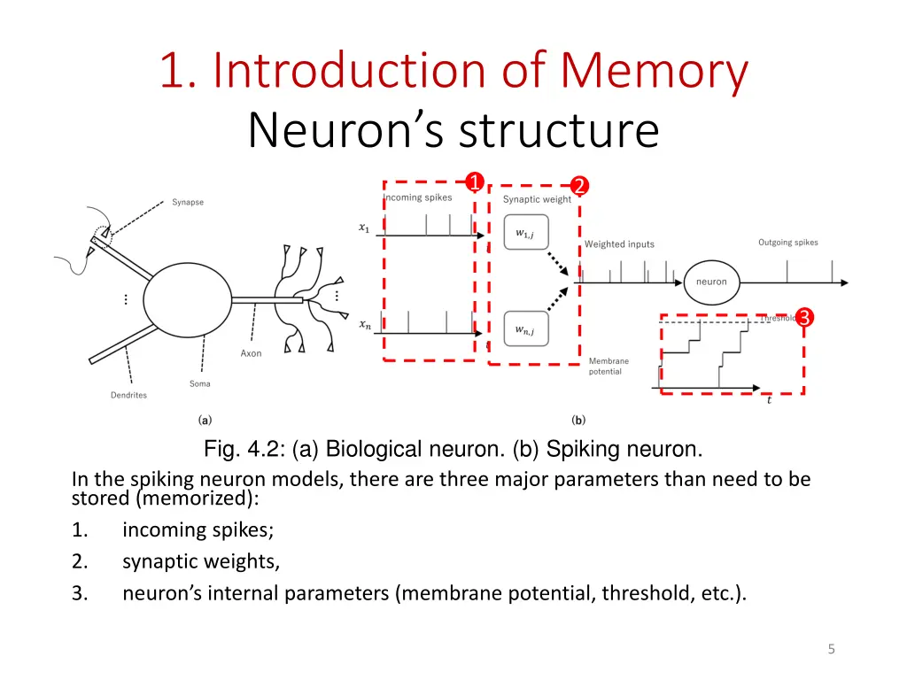 1 introduction of memory neuron s structure
