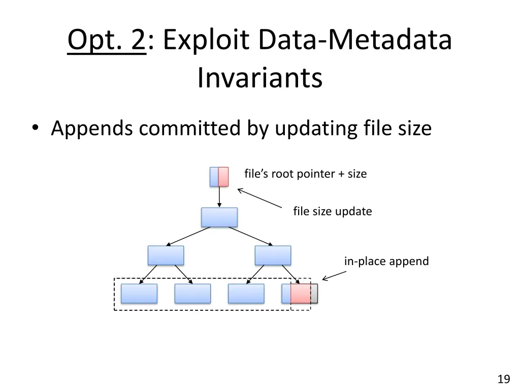opt 2 exploit data metadata invariants