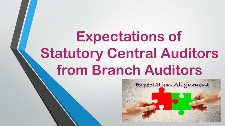 expectations of statutory central auditors from