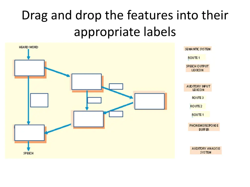 drag and drop the features into their appropriate