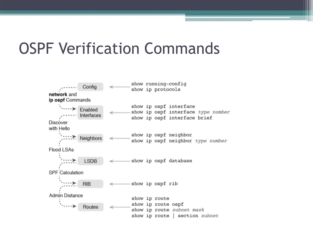 ospf verification commands