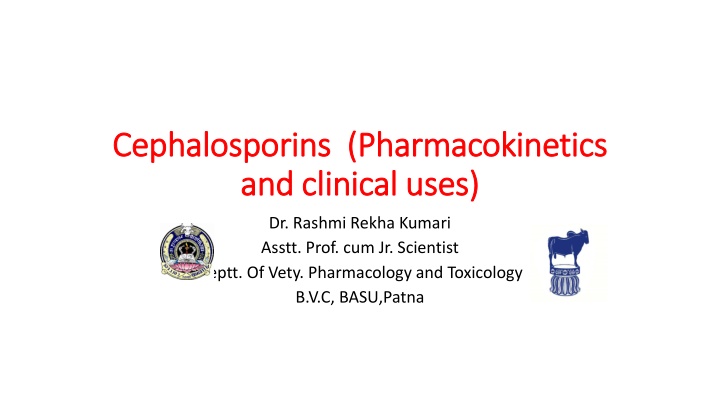 cephalosporins cephalosporins pharmacokinetics