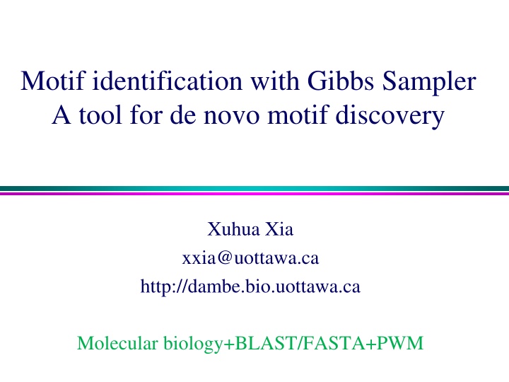 motif identification with gibbs sampler a tool