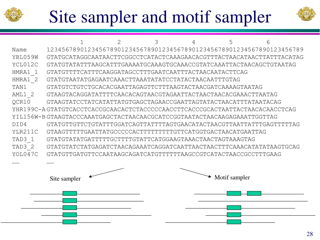 site sampler and motif sampler
