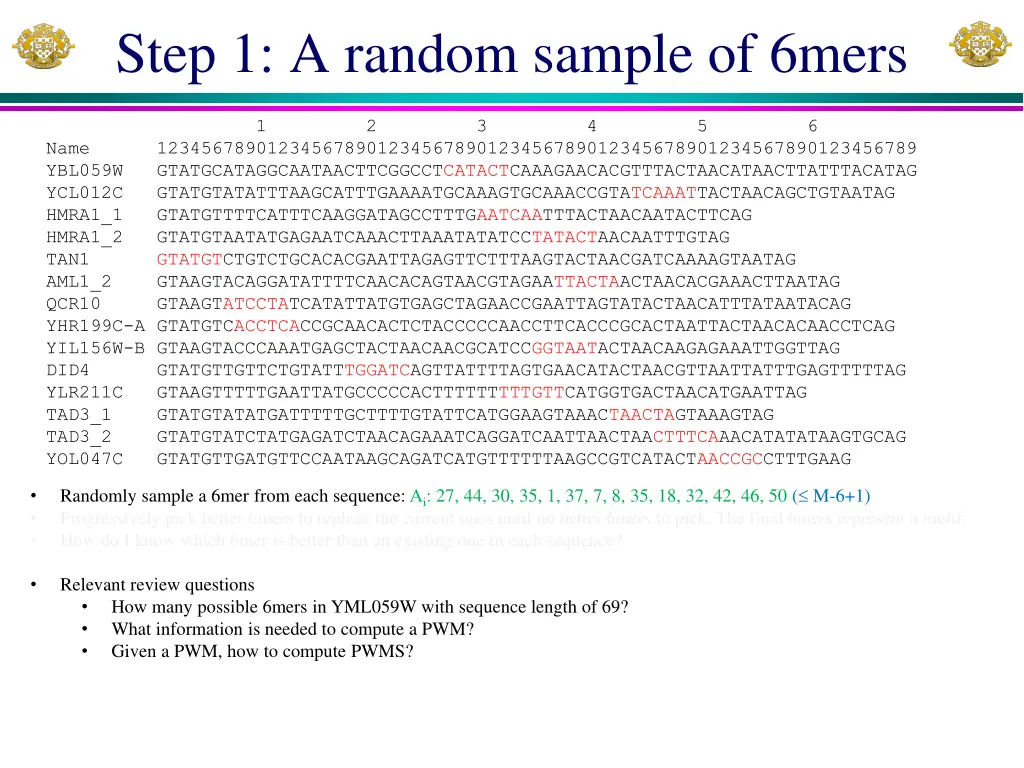 step 1 a random sample of 6mers