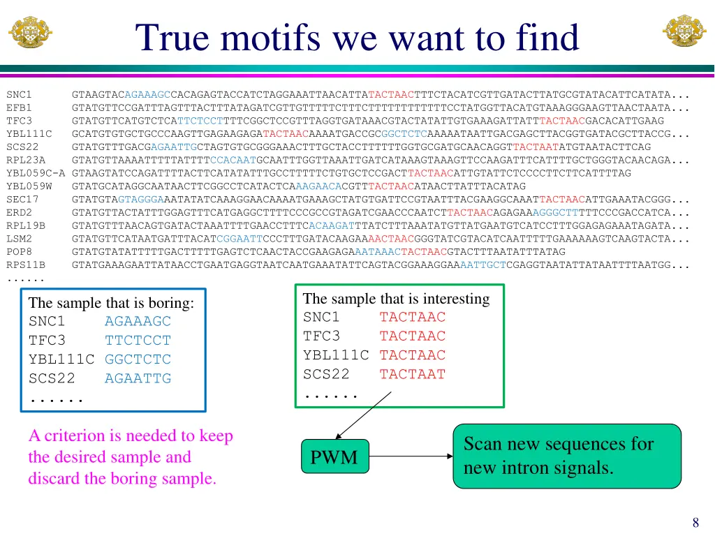true motifs we want to find 1