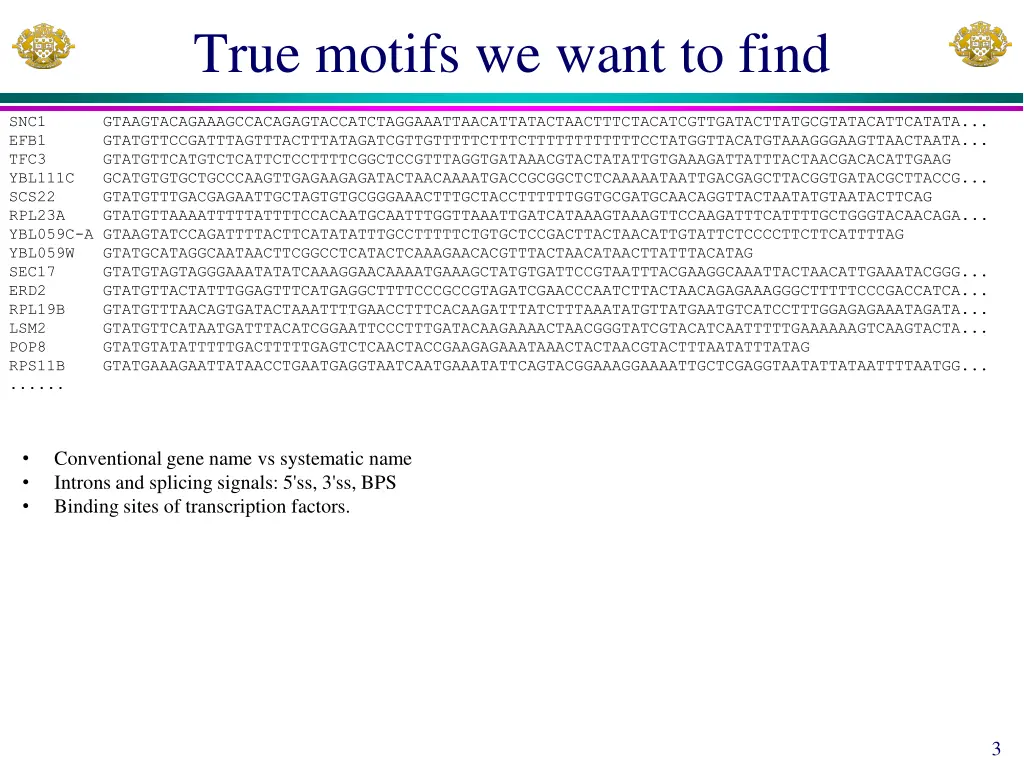 true motifs we want to find