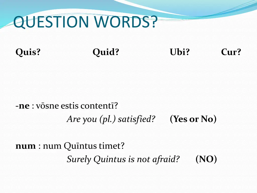 question words