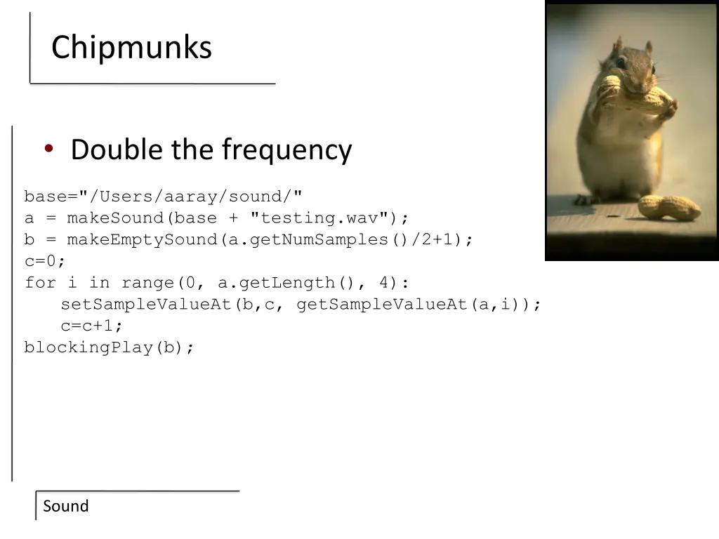 chipmunks