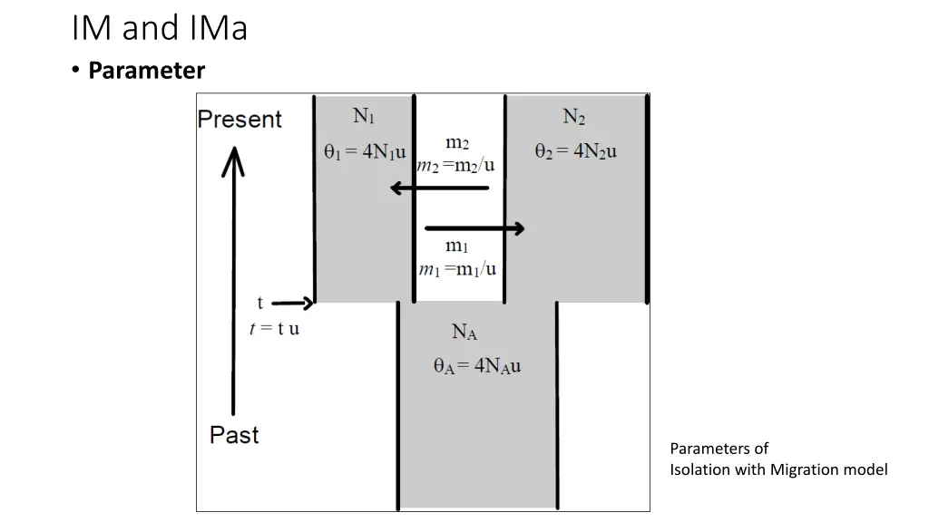 im and ima parameter