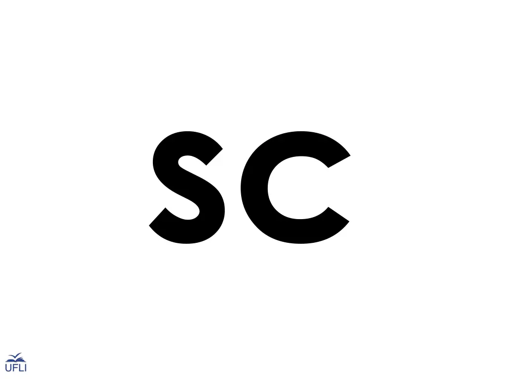 slide17
