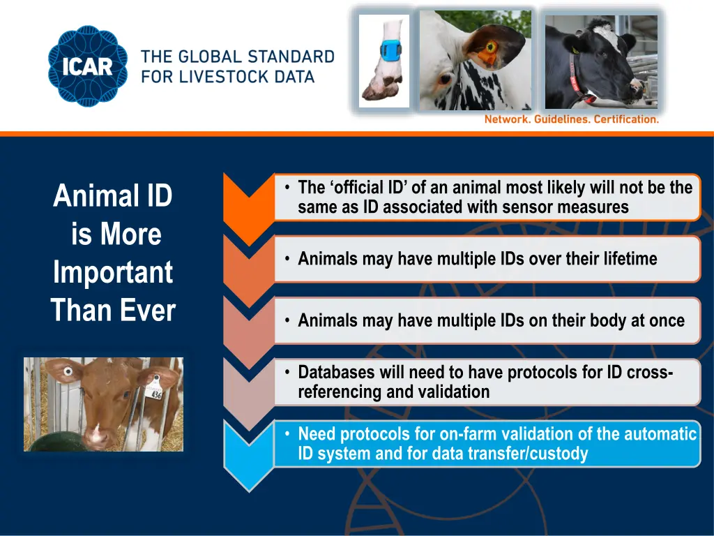 the official id of an animal most likely will