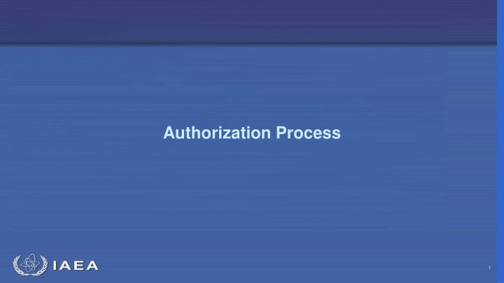 authorization process