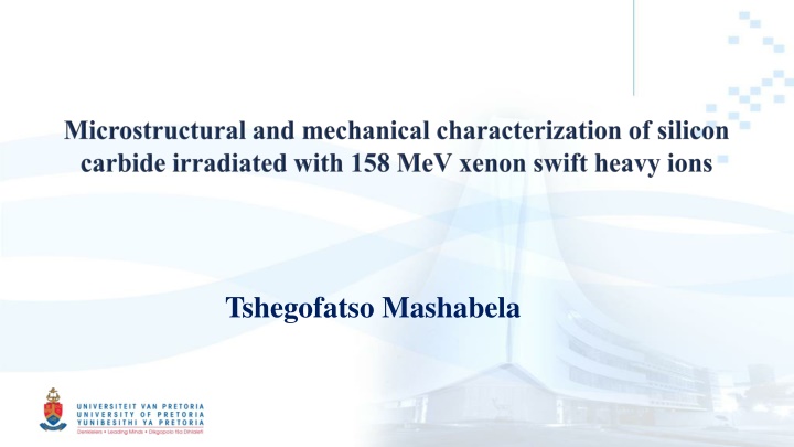 tshegofatso mashabela