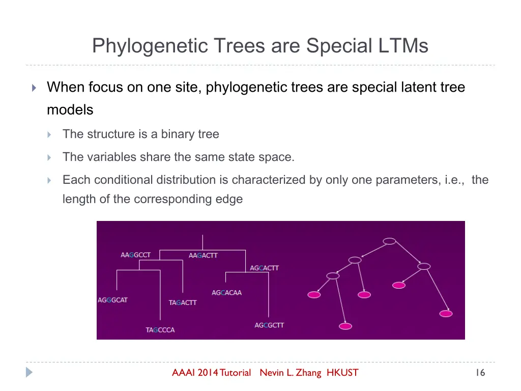 phylogenetic trees are special ltms