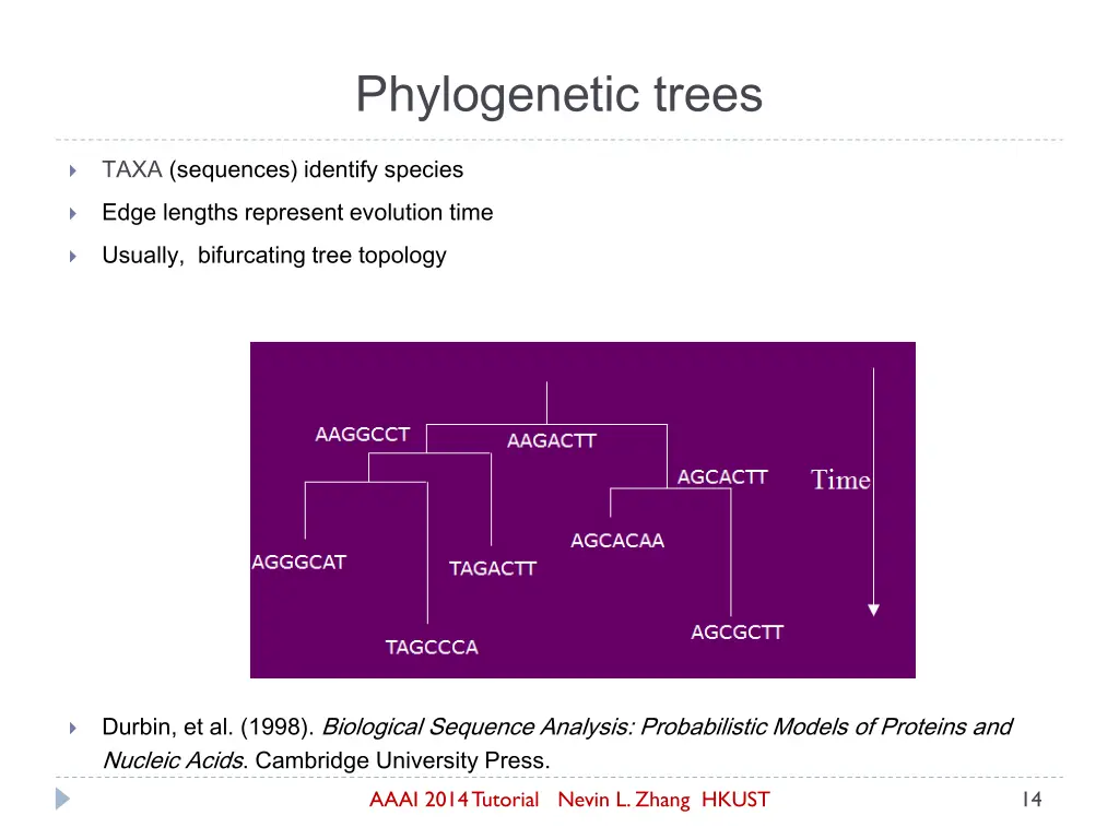 phylogenetic trees