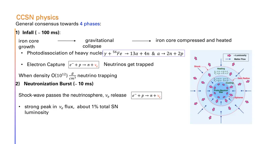 ccsn physics