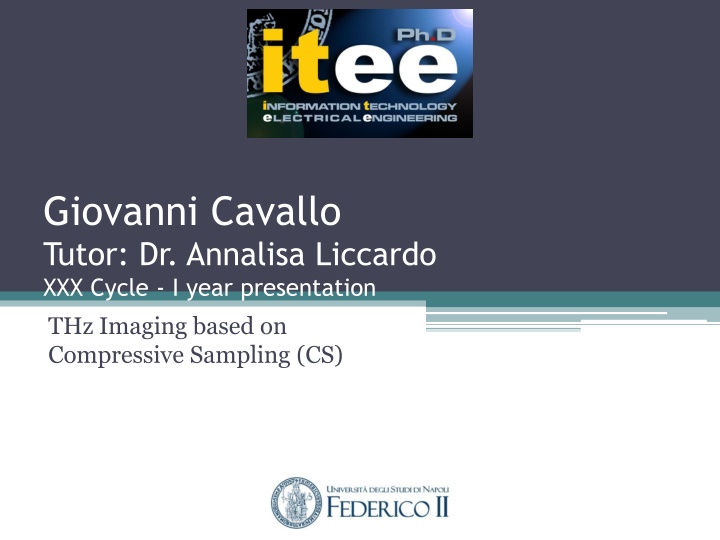 giovanni cavallo tutor dr annalisa liccardo