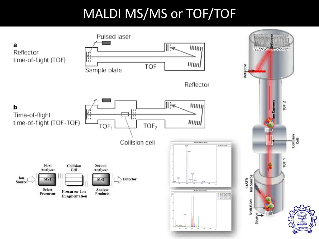 maldi ms ms or tof tof