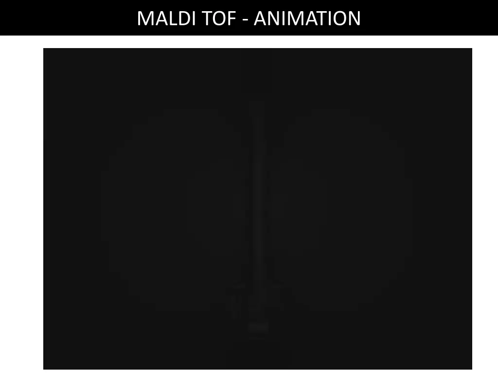maldi tof animation