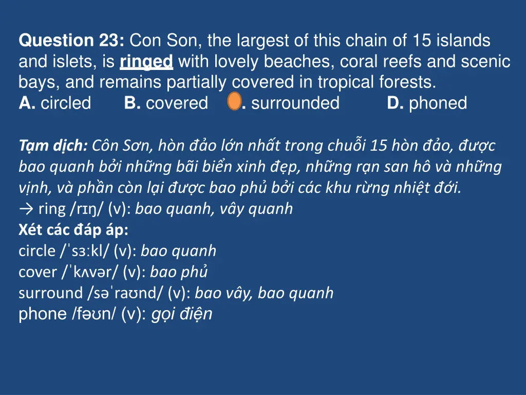 question 23 con son the largest of this chain