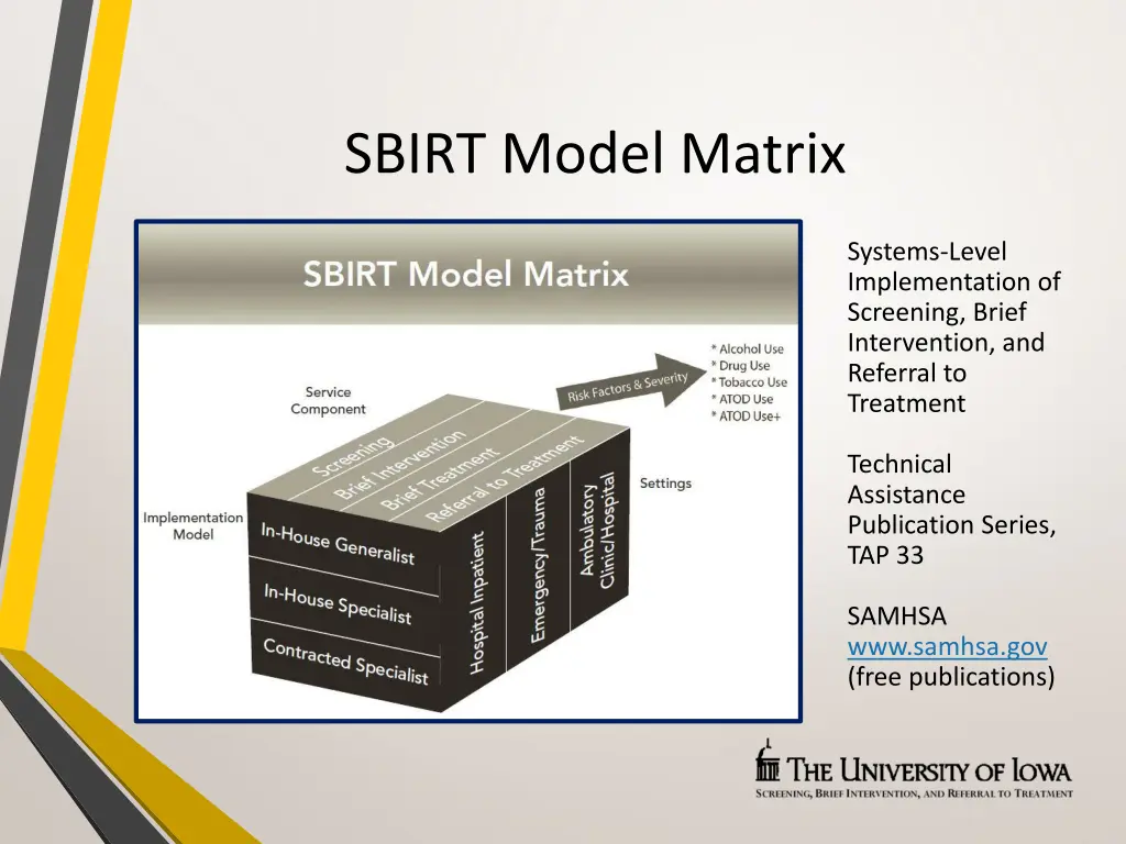 sbirt model matrix