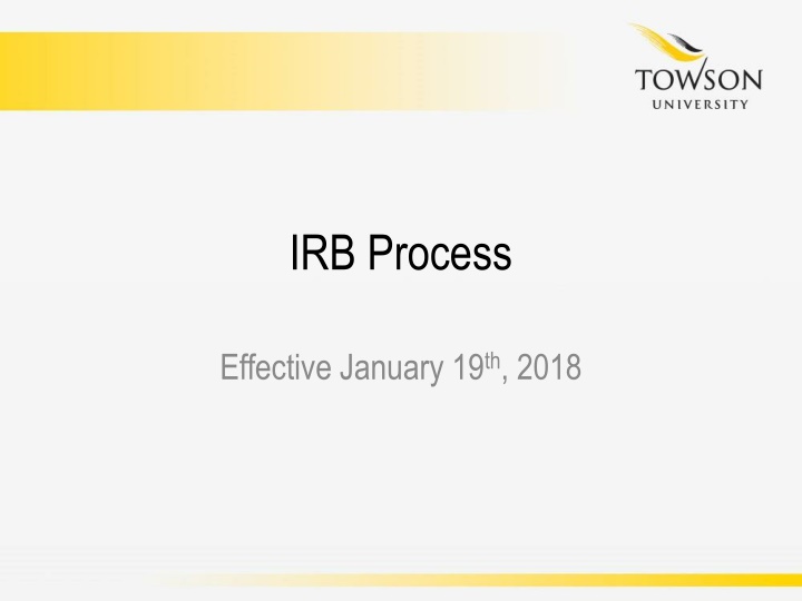 irb process