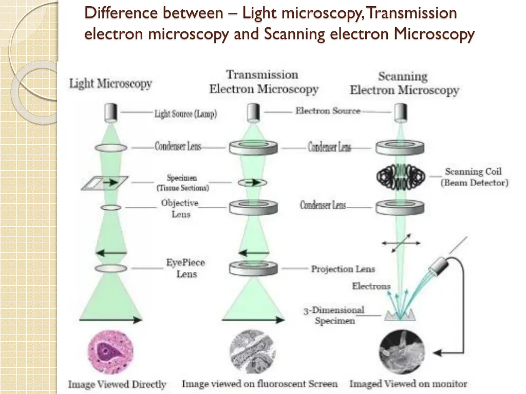 difference between light microscopy transmission