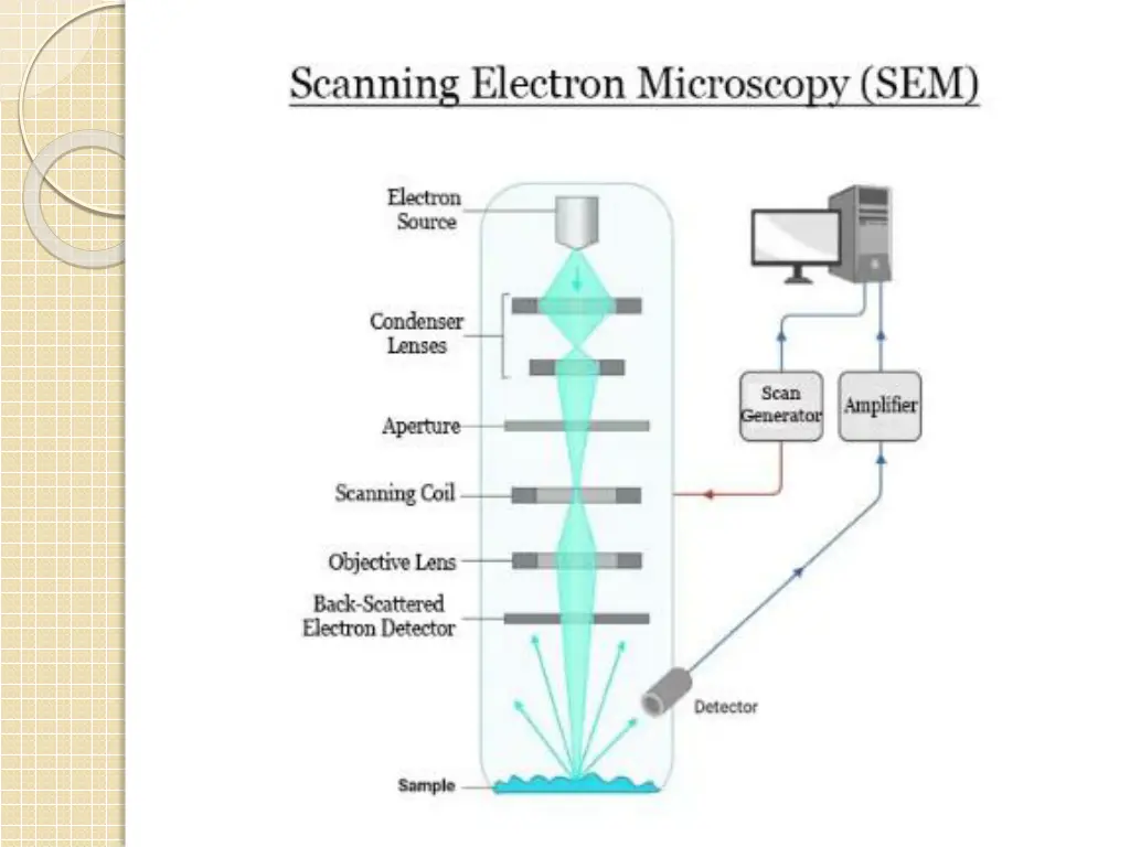 slide7