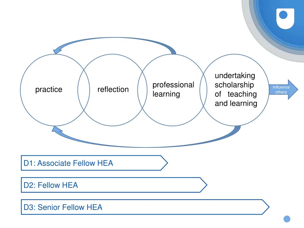 undertaking scholarship of teaching and learning
