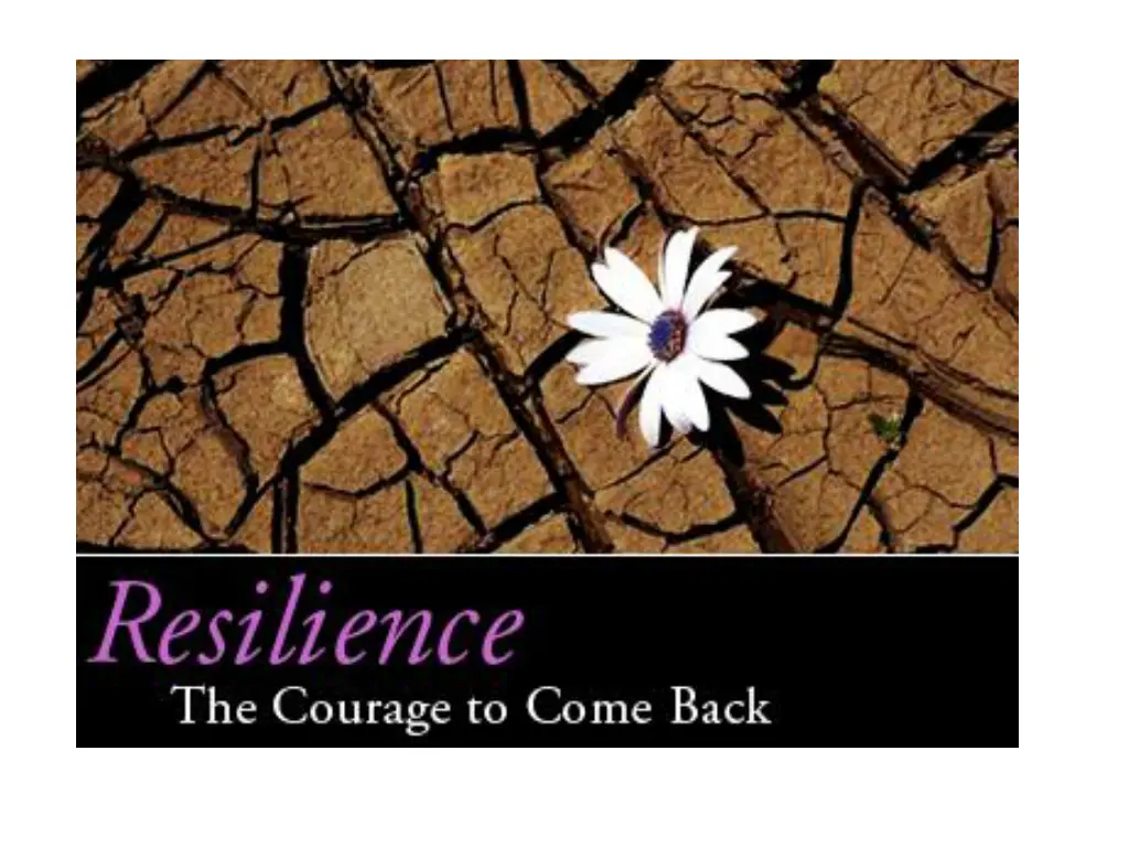 slide8