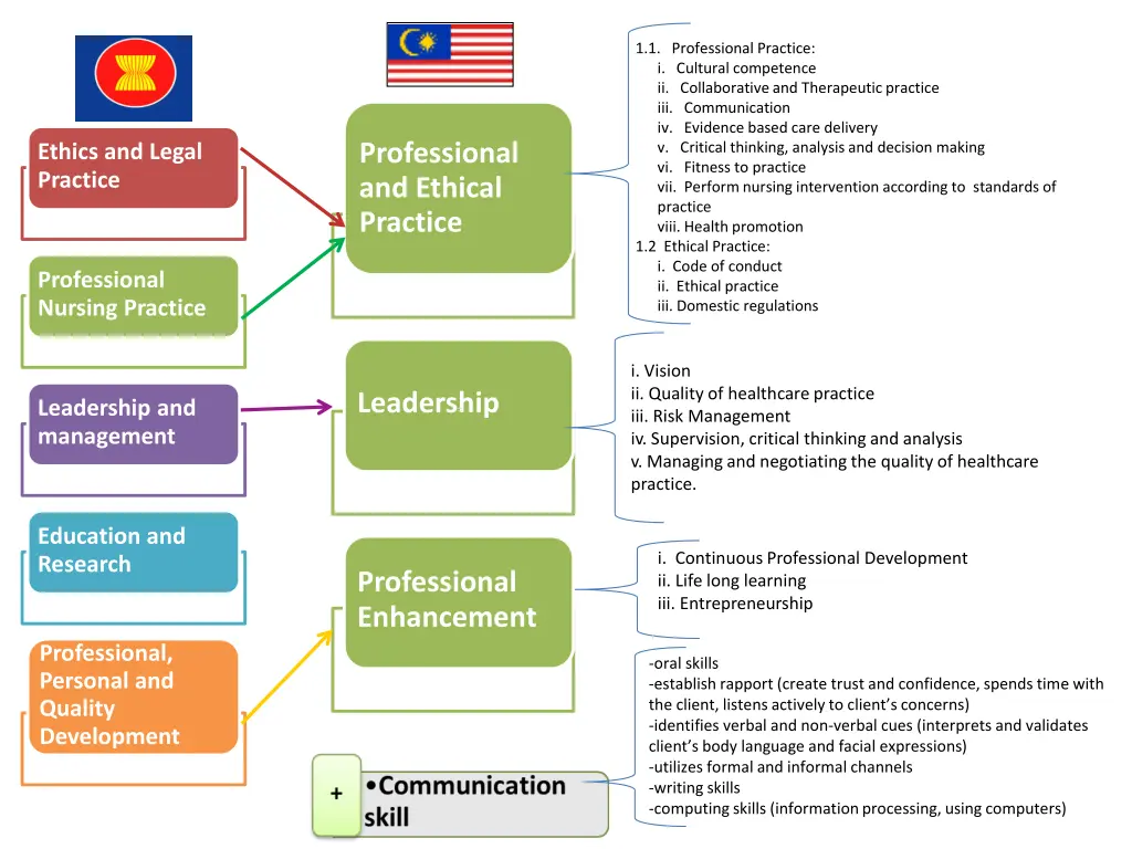 1 1 professional practice i cultural competence
