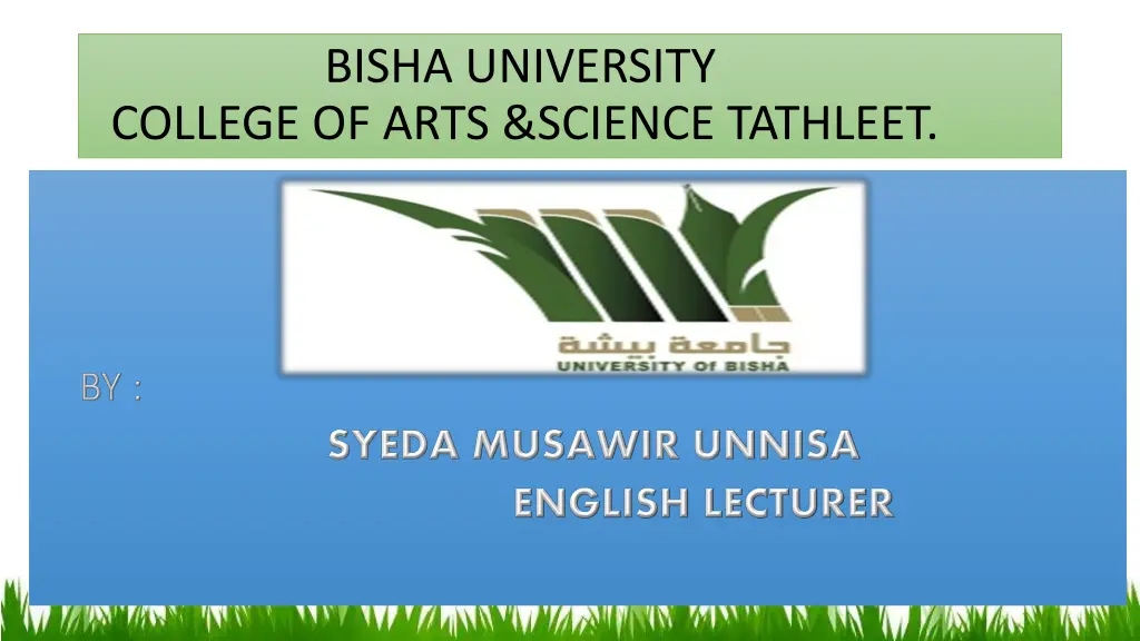 bisha university