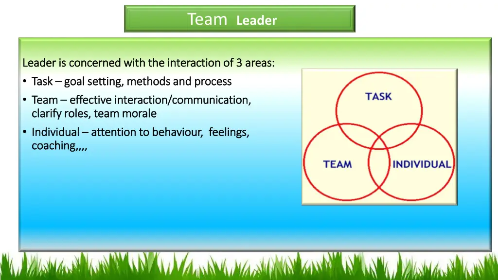 team leader
