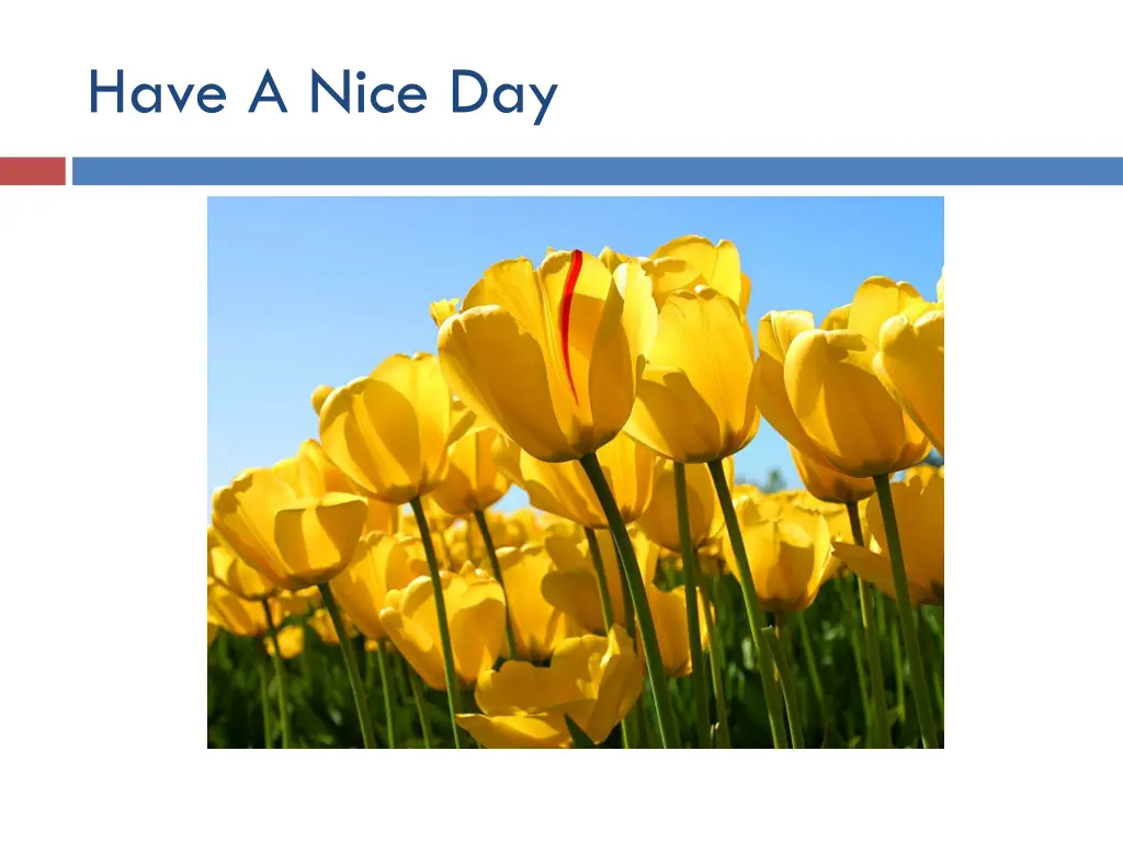 have a nice day