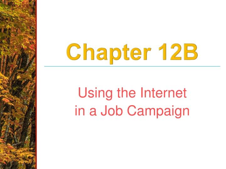 using the internet in a job campaign