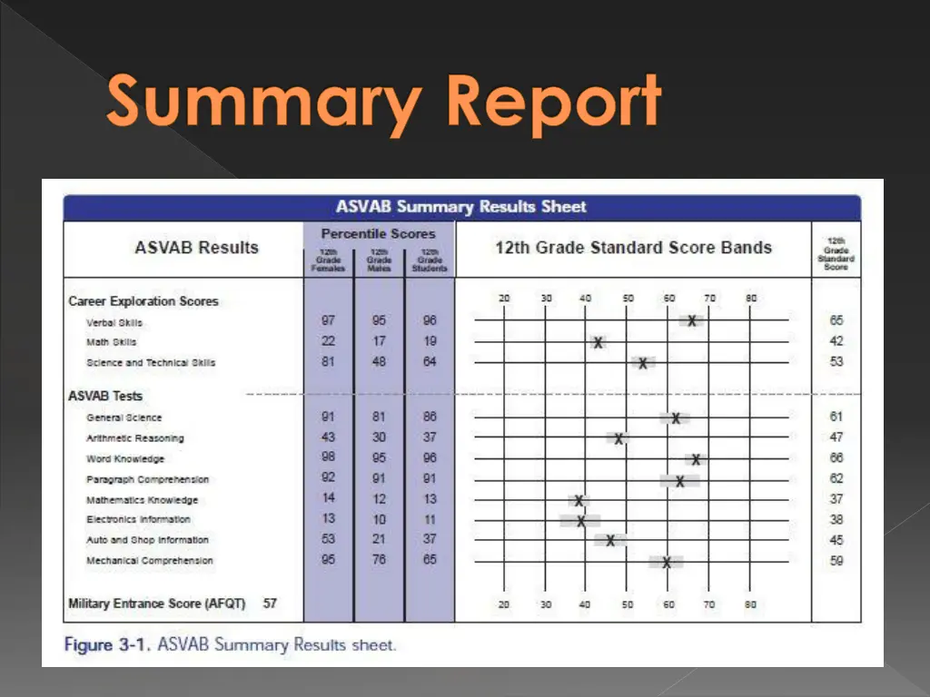 summary report