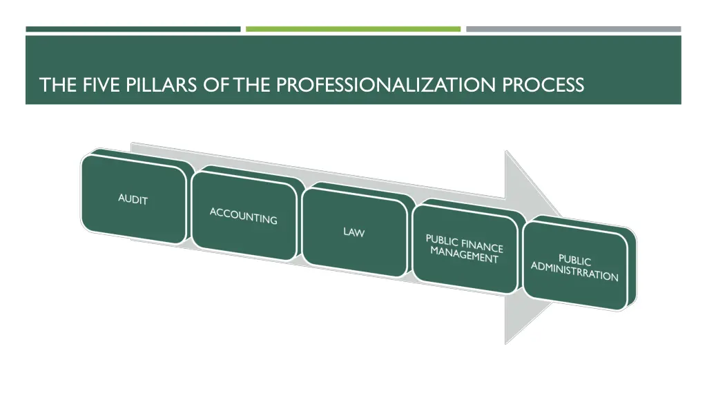 the five pillars of the professionalization