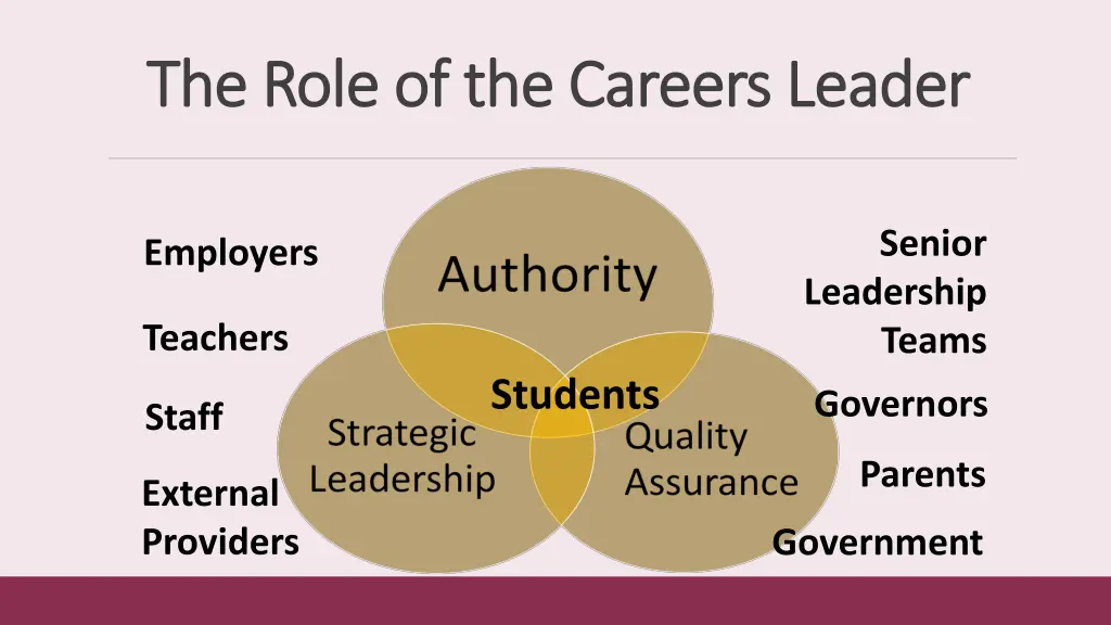 the role of the careers leader the role