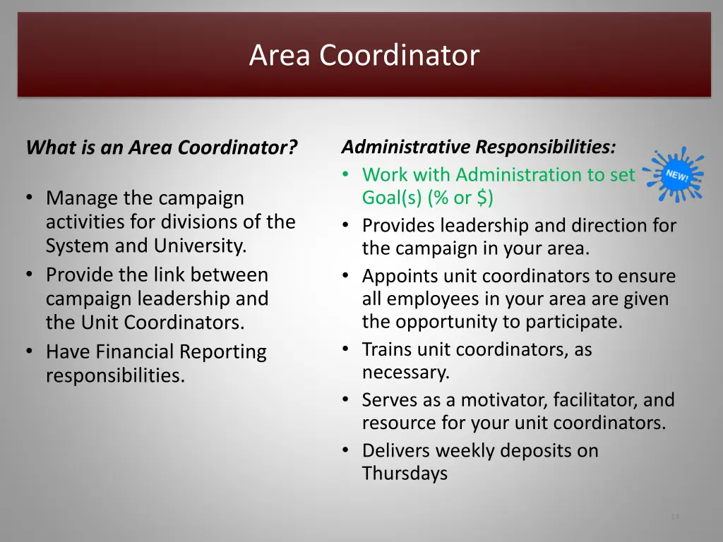 area coordinator