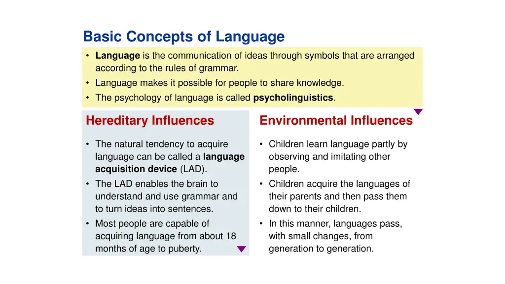 basic concepts of language