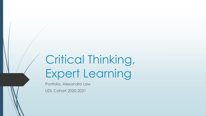 critical thinking expert learning portfolio