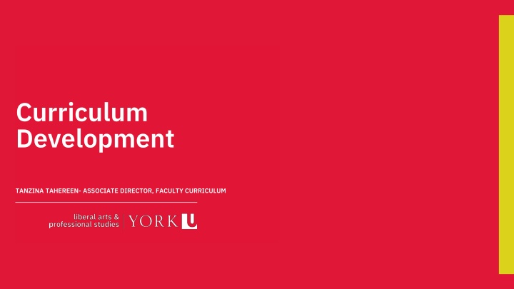 curriculum development