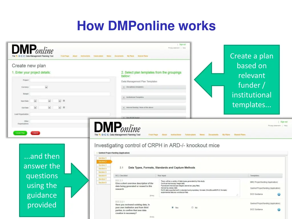 how dmponline works