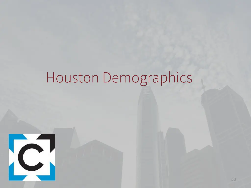 houston demographics