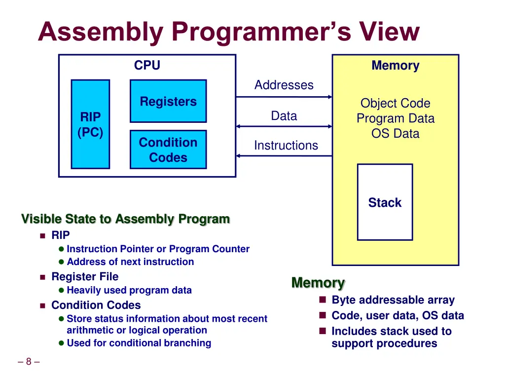 assembly programmer s view