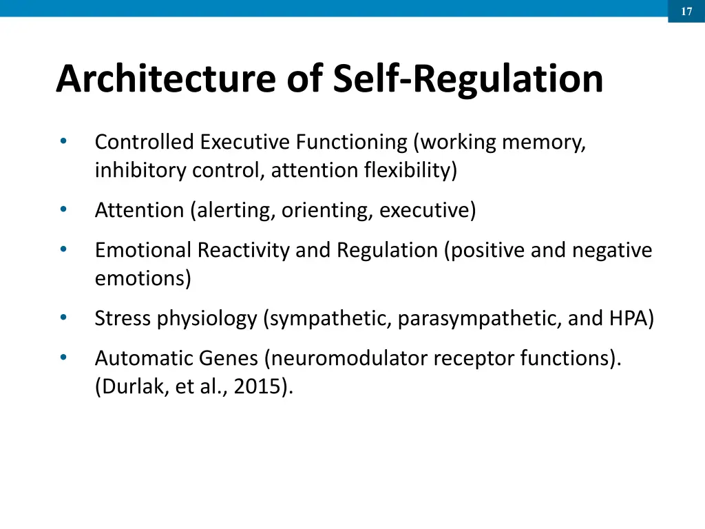 slide17
