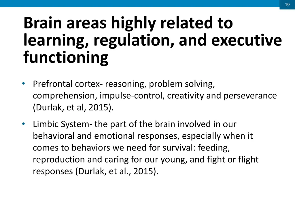 slide19